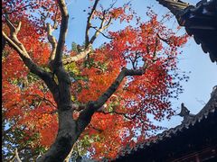 -豫园