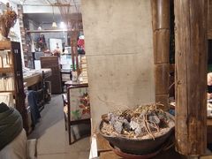 -斯多格书乡(北京大学畅春园店)