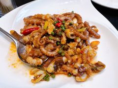 八爪鱼炒辣椒-紫阳海鲜楼·传承闽味(长乐路总店)
