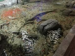 -临沂极地海洋王国
