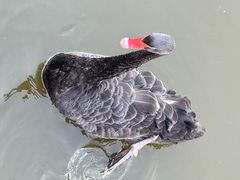 -靓海海鲜火锅(水上湖边观景店)