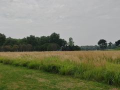 -汉长安城未央宫国家考古遗址公园