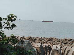 -上海滨江森林公园