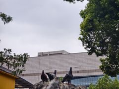 -宝通禅寺