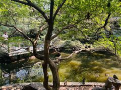 -杭州野生动物世界