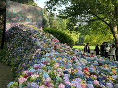 -上海共青森林公园