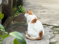 -猫的天空之城概念书店(苏州平江店)