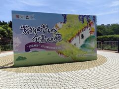 -嘉定紫藤园
