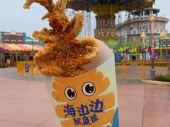 -青岛方特梦幻王国