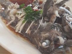 黑头鱼-海岛渔村大酒店(云霄路店)