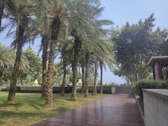 -逸廊大堂吧(三亚海棠湾万丽度假酒店)