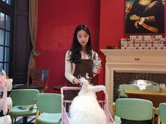 -猫色咖啡·猫咖