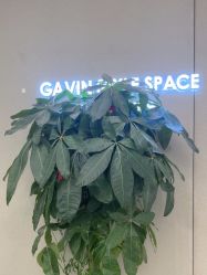 -崇尚GAVIN STYLE臻选