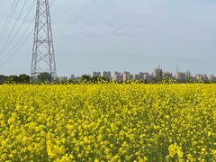 -嘉北郊野公园