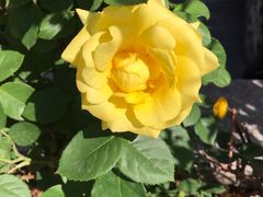 -平娃三宝烧烤·面食(南小街店)