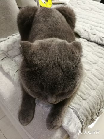 自从生了一次病，直接从主子升级到祖宗