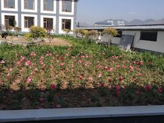 -广发餐厅(涞源店)