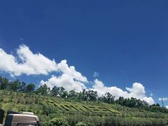 -海吉星国际农产品物流管理有限公司