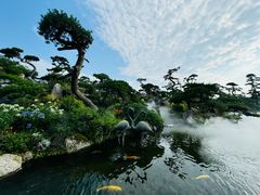 -罗红摄影艺术馆