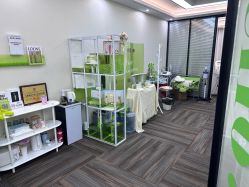 -凡碧诗毛孔清洁收细