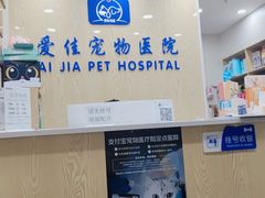 -爱佳宠物中心医院·骨外科·猫专科·急重症(瑶海万达店)