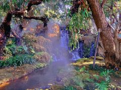 -Chom Cafe and Restaurant