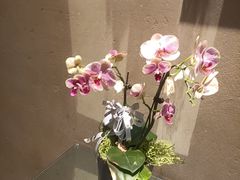 -院子餐厅·大锅菜·老杭帮(桥西直街店)