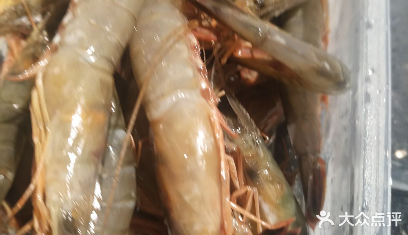 石浦海鲜快递