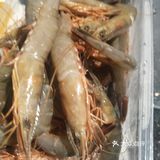 石浦海鲜快递
