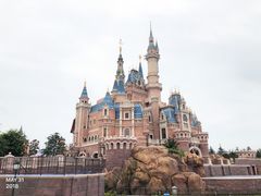 -迪士尼火鸡腿