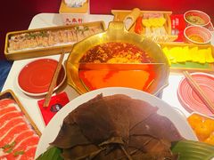 -九鼎轩脆毛肚火锅(三钢里店)