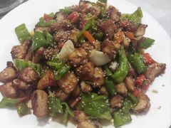 -煲来饱去冷水鱼