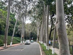 -麓湖高尔夫球俱乐部