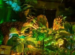 -恐龙探索乐园(磁器口店)