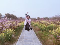 -南汇桃花村