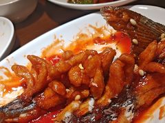 -纯肴大东北(新城北街店)