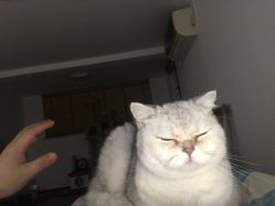 -宋氏家传催乳工作室(罗南新村店)