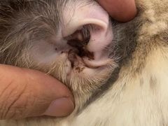 -comecome来吧宠物(奥克斯中心店)