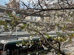 -南浦大桥长途旅游客运站