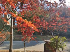 -南京市江宁方山