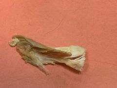 -觅姐麻辣烫(安定门店)