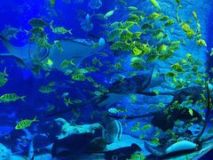 -正佳极地海洋世界