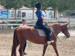 -北京群众马术培训基地