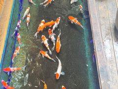 -海澄轩海鲜酒家(虎门店)