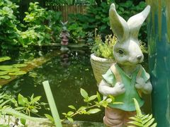 -谷咖啡·鲜花绿植花园餐厅