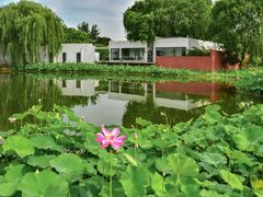 -石家庄市植物园
