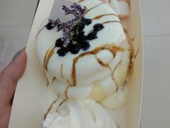 -狐狸和向日葵(北京路店)