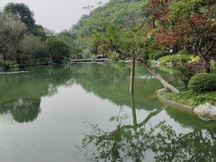 -云溪植物园