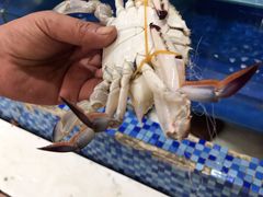 -雅逸居海鲜小厨