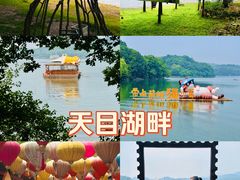 -天目湖山水园